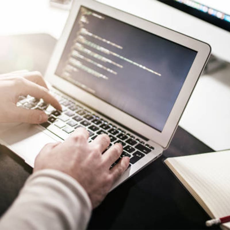 Dereli Web Site Yapan Firmalar