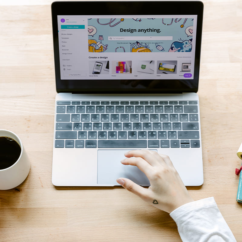 D&uuml;zce Web Sitesi Yapan Firmalar