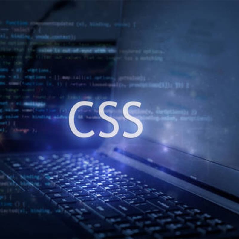 Esenler Web Tasarım Firmaları