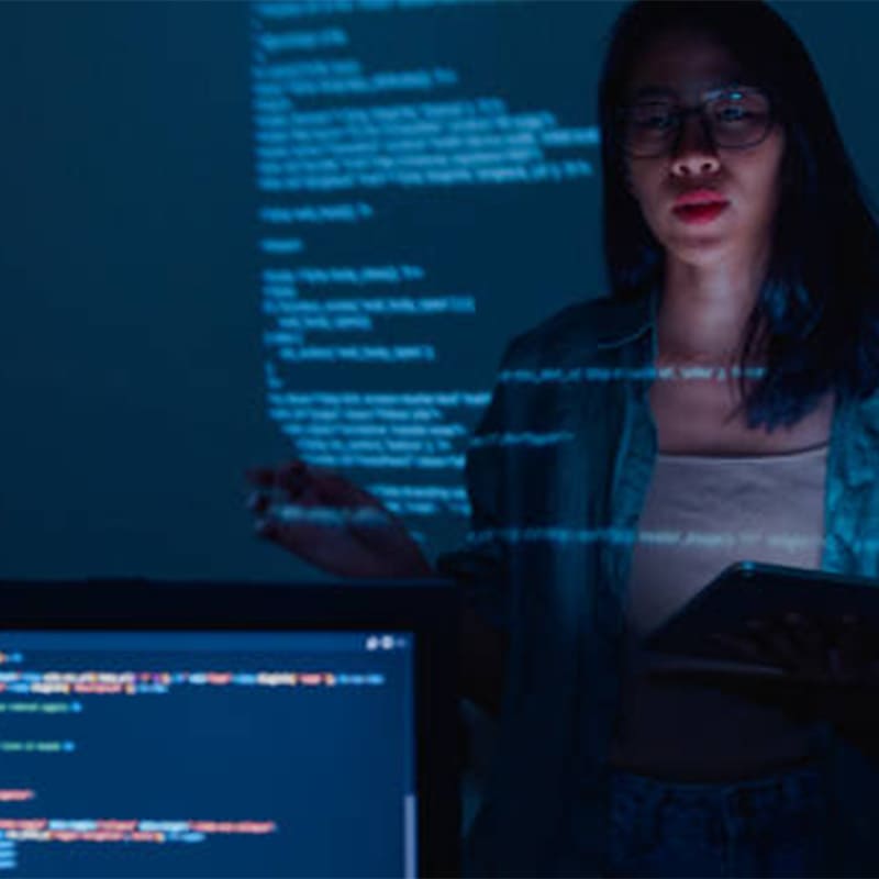 Karakoyunlu Web Sitesi Yapan Firmalar