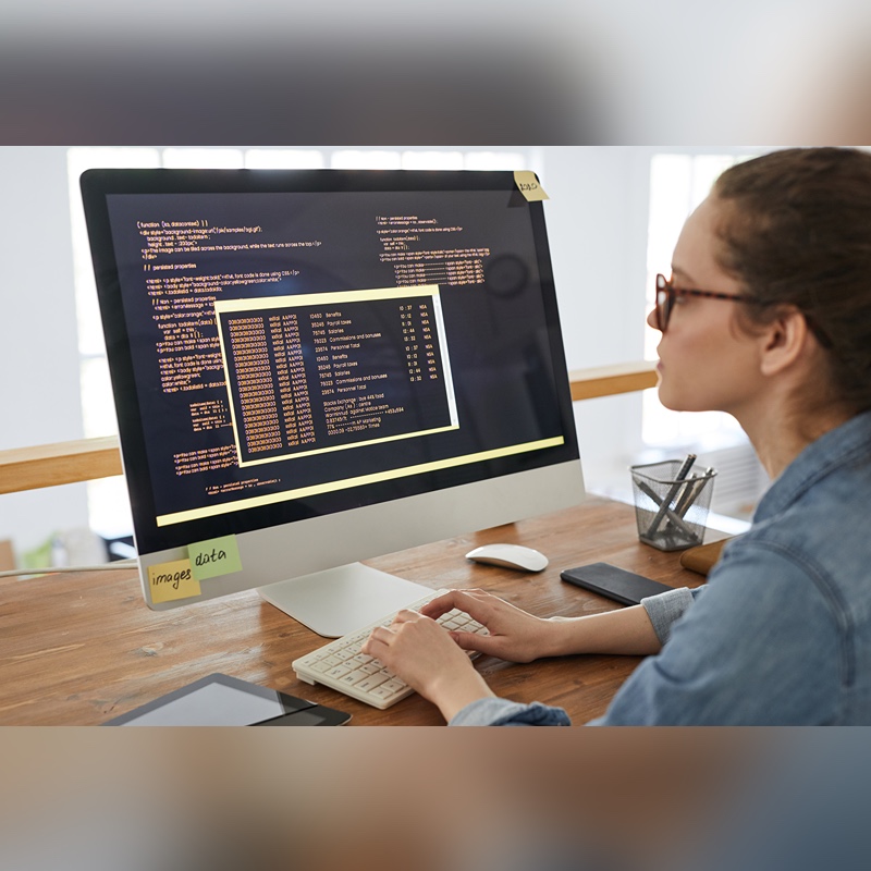 Niksar Web Site Yapan Firmalar