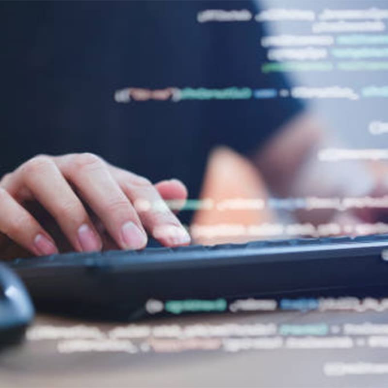 Şile Web Tasarım Firmaları