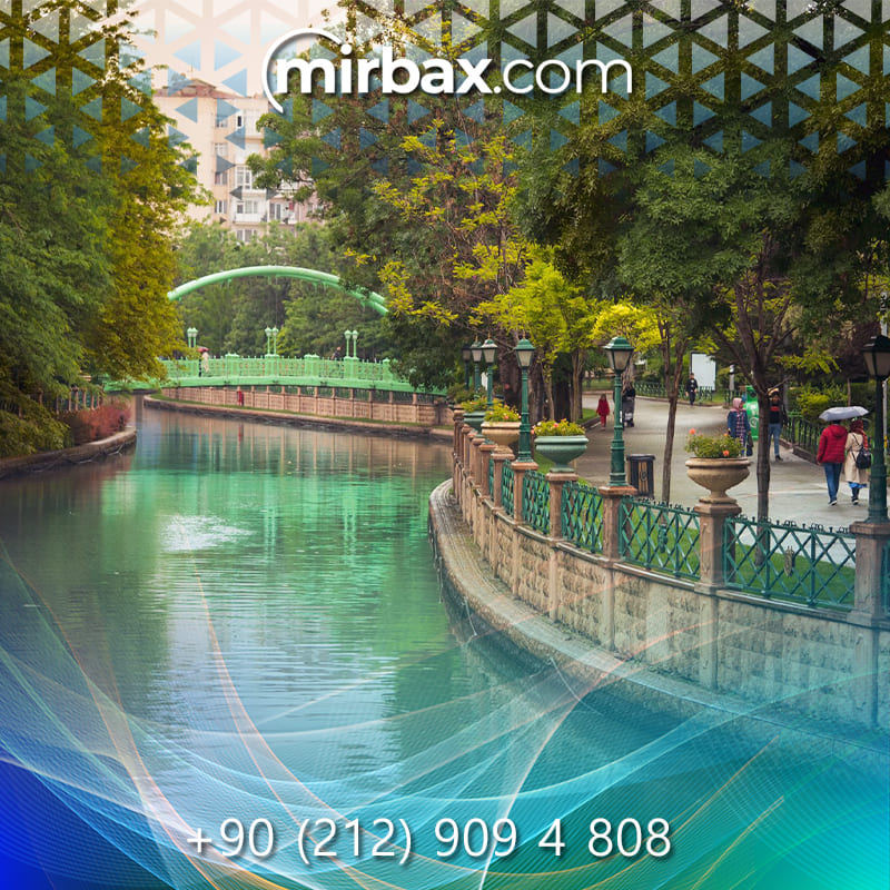 Tepebaşı Web Tasarım