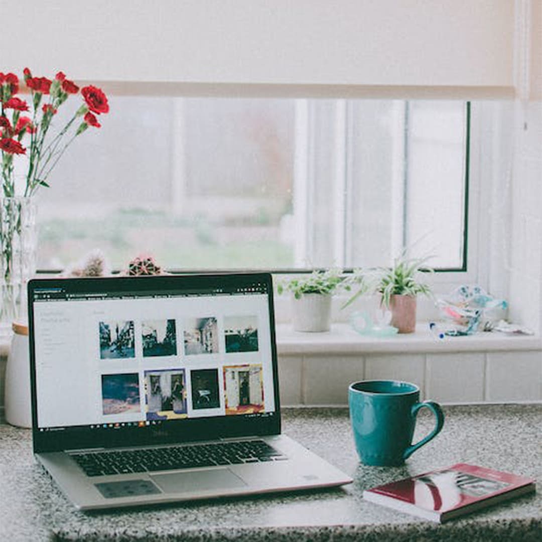 Yenipazar Web Tasarım Firmaları